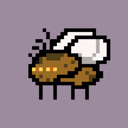 Cryptoflyz