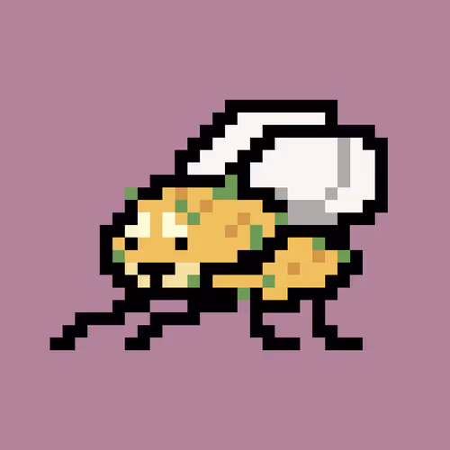 Cryptoflyz