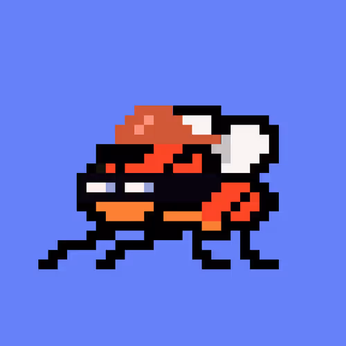 Cryptoflyz