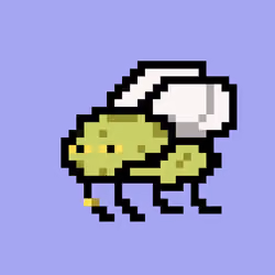 CryptoFlyz #6843