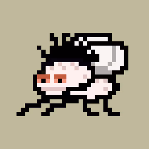 Cryptoflyz