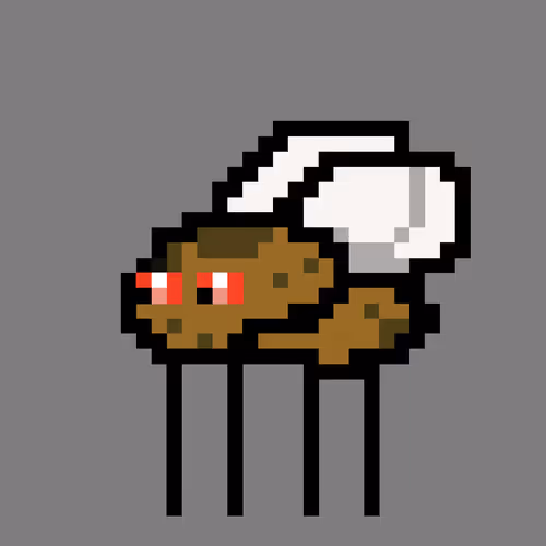Cryptoflyz