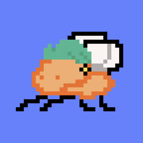 Cryptoflyz