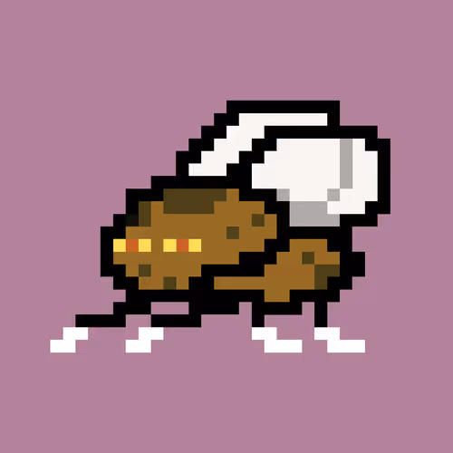 CryptoFlyz #5539