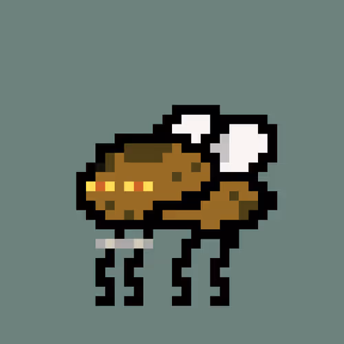 Cryptoflyz