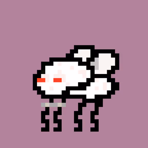 Cryptoflyz