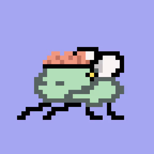Cryptoflyz