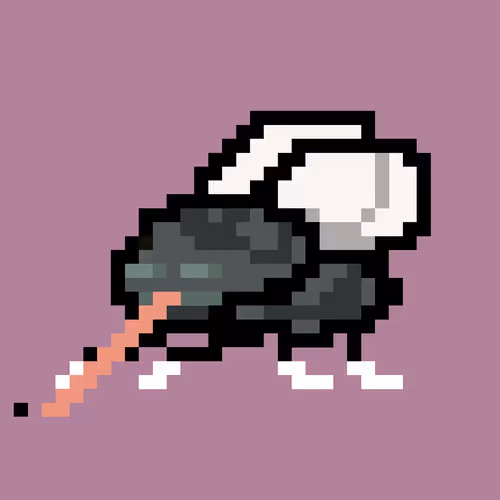 Cryptoflyz