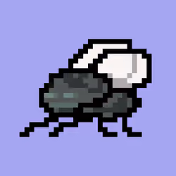 CryptoFlyz #5946