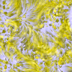 85