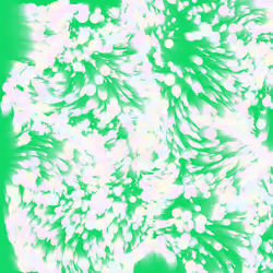 56
