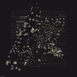 Entrope #2