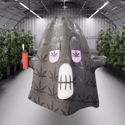 Farmacy Fantoms #5321