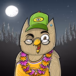 Owl #150