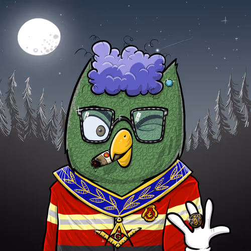 Enlightened Owl Council
