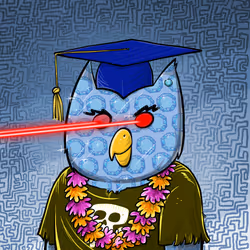 Owl #70
