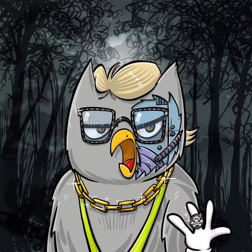 Enlightened Owl Council