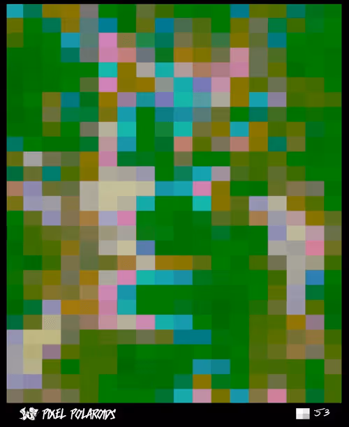 Item #53 Media