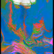 65