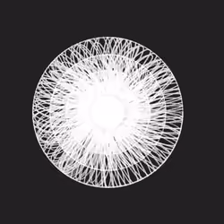 MEDLab: Sacred Stacks 247/300