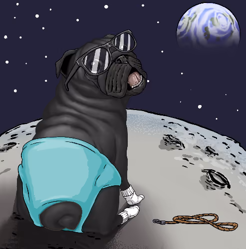 Pampered Pugs #30