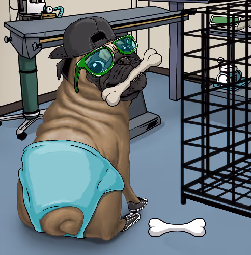 Pamperedpugs