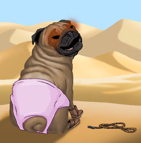 Pampered Pugs #67