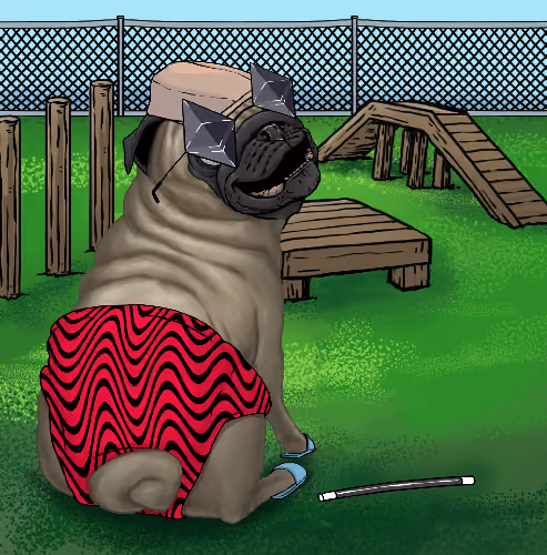 Pampered Pugs #159