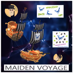 MAIDEN VOYAGE #11 - SPACE WHALESHIP