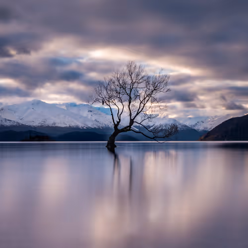 Deb Clark Nz V2