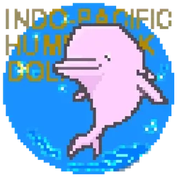 No.042_INDO-PACIFIC HUMPBACK DOLPHIN - ねこちょ -