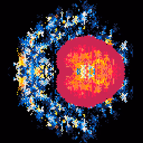 Pulses By Daniel Nairodsky #155