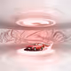 746
