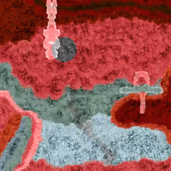 Enigma #303