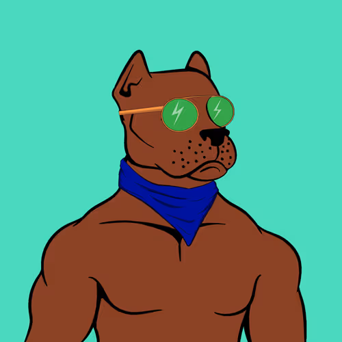 The Dog Pound