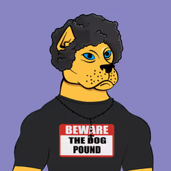 Pound Dog #257