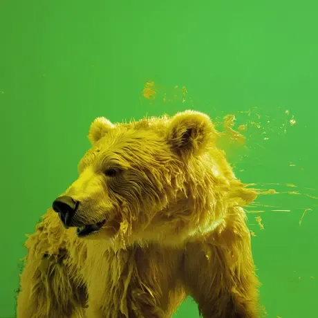 bear #1815
