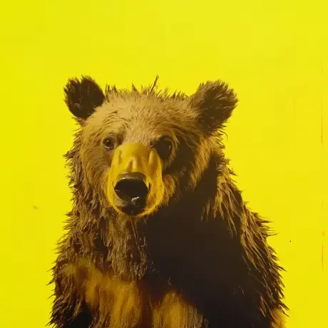 bear #3289