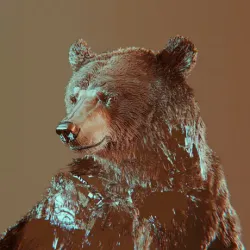 bear #297