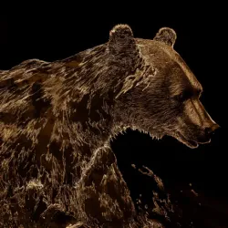 bear #1726