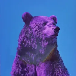bear #3423