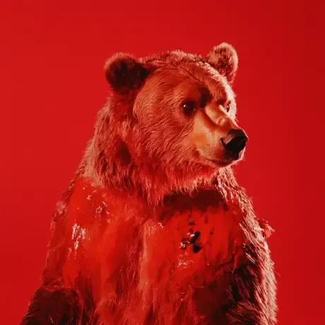 bear #4975
