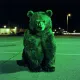 bear #984