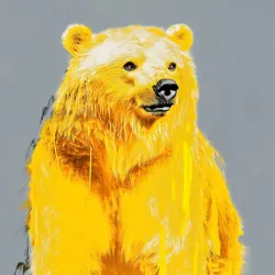 bear #4785
