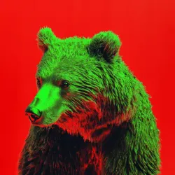 bear #785