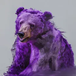 bear #4392