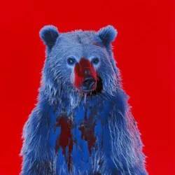 bear #1579