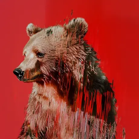 bear #1783