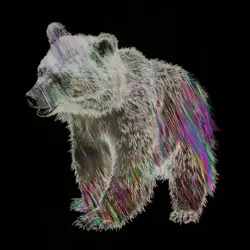 bear #3688