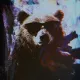 bear #546